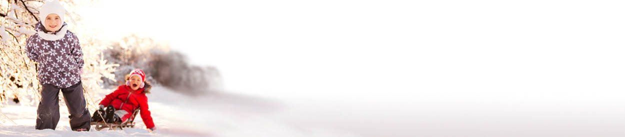 #nivo1 Seeds of Promise FSG